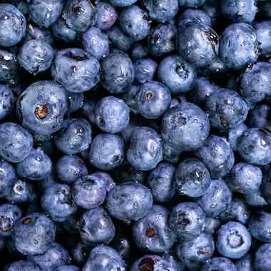 Blueberries for Fertility